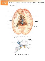 Sobotta Atlas of Human Anatomy  Head,Neck,Upper Limb Volume1 2006, page 329